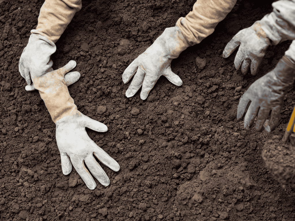Guide Overview: What You'll Need